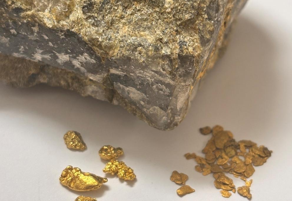 Gesteinsprobe mit kleinen Goldeinschüssen, Flittergold und Goldnuggets.