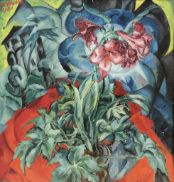 Amaryllis, 1921