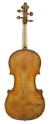 Back view