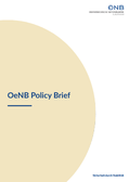 OeNB Policy Briefs