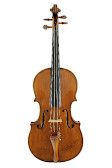 Viola, Turin, 1784