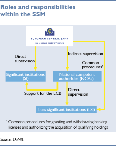 roles and responsibilies within the SSM